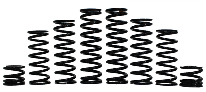 Polaris, RZR XP S, Walker Evans Spring Kit, 4 Seat (2026)